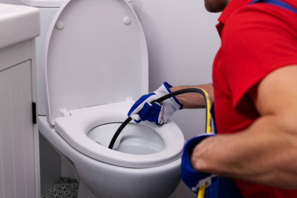 Best Local Plumber Services  in Brandon, SD